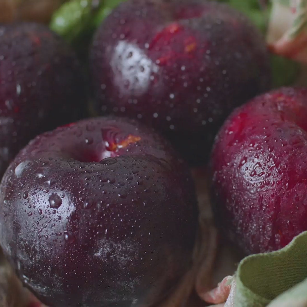 Rwanda Jarama Kivubelt